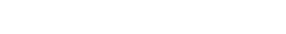 FULL VIOLENCE STORE